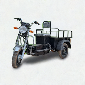 Picture for category Electric Vehicles